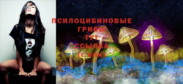 мет Армянск